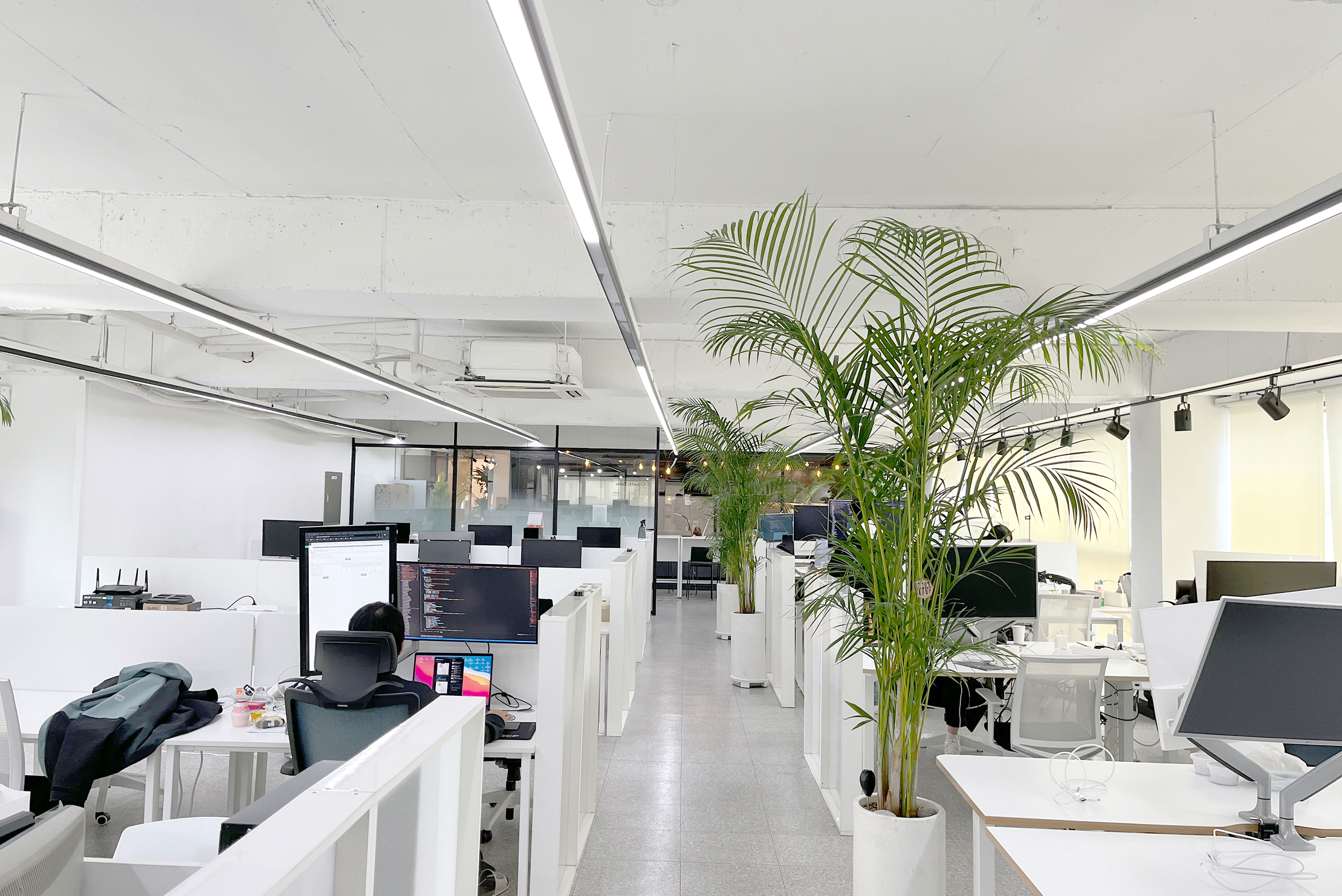 Office 5