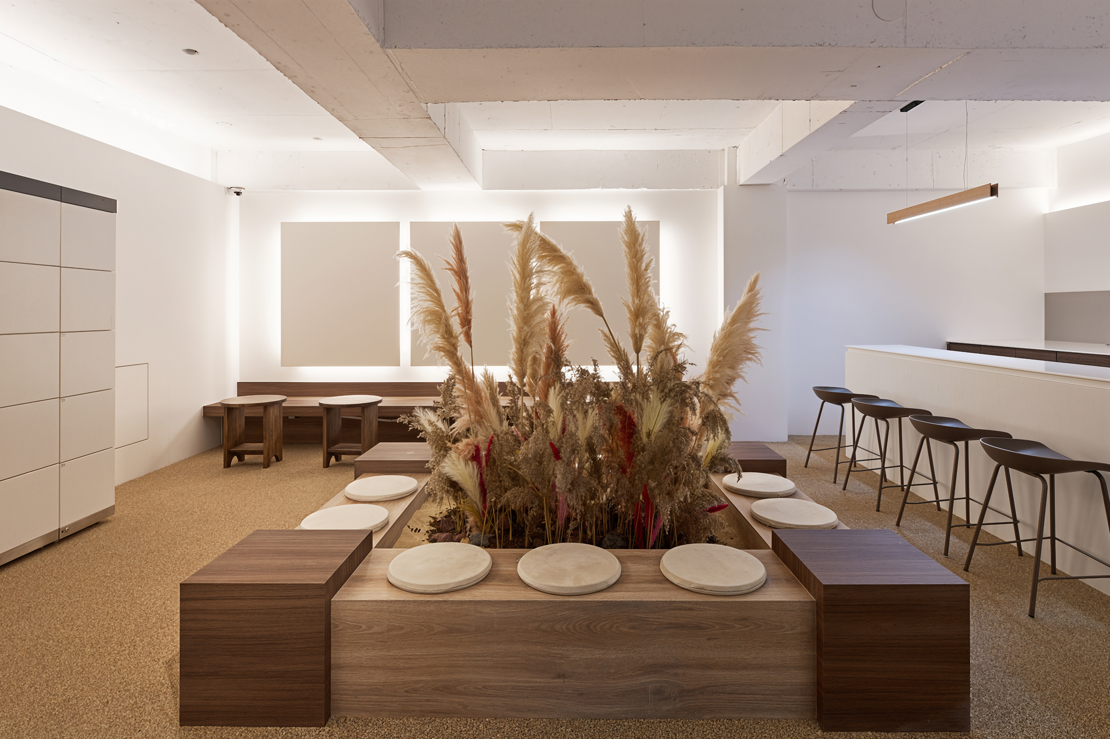 Office 7