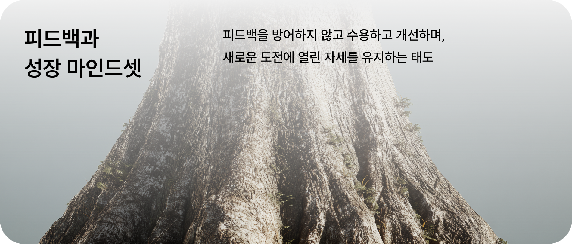 핵심가치 5